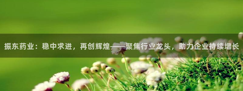 九游会老哥俱乐部必备的交流社区论坛：振东药业：稳中求进，再创辉煌——聚焦行业龙头，助力企业持续增长