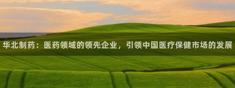 9游会老哥：华北制药：医药领域的领先企业，引领中国医疗保健市场的发展