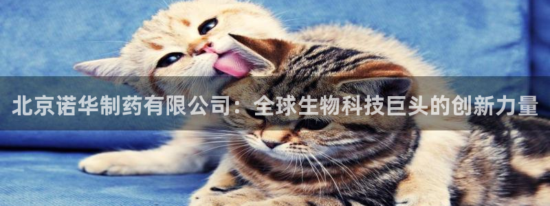 九游会老哥俱乐部官网首页论坛：北京诺华制药有限公司：全球生物科技巨头的创新力量