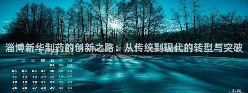 老哥俱乐部是干什么的啊：淄博新华制药的创新之路：从传统到现代的转型与突破