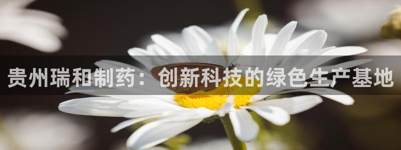 九游会老哥俱乐部：贵州瑞和制药：创新科技的绿色生产基地