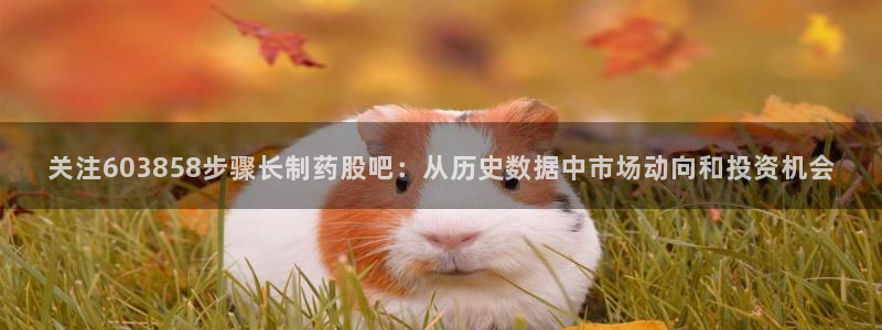 九游会老哥俱乐部官网首页论坛：关注603858步骤长制药股吧：从历史数据中市场动向和投资机会