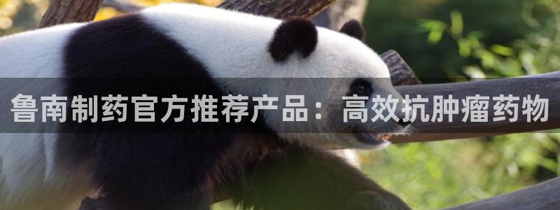 usdt九游会老哥俱乐部：鲁南制药官方推荐产品：高效抗肿瘤药物