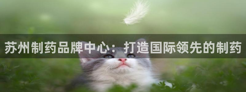 ag九游老哥俱乐部：苏州制药品牌中心：打造国际领先的制药