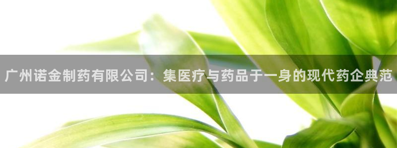ag九游老哥俱乐部：广州诺金制药有限公司：集医疗与药品于一身