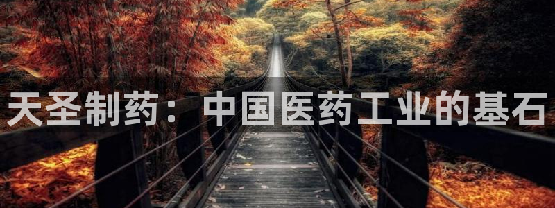九游会老哥俱乐部官方网站：天圣制药：中国医药工业的基石